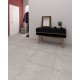 Allore Group Плитка Concrete Grey F P R Mat 60х60