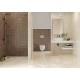 Allore Group Плитка Pulpis Beige W M/STR NR Glossy 31x61