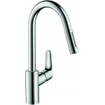 Hansgrohe Focus (31815000)