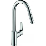 Hansgrohe Focus (31815800)